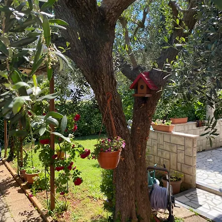 Nadia Apartament *